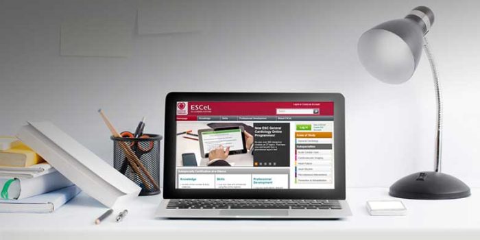 esc-erasmus-platform.jpg esc-erasmus-platform.jpg